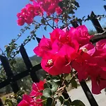 דירה Locanda מונמבאסיה