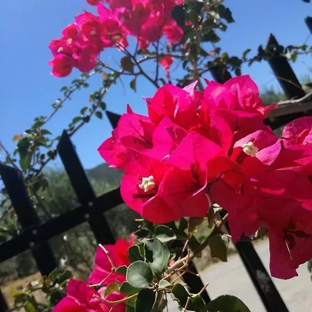 Apartament Locanda Monemvasía