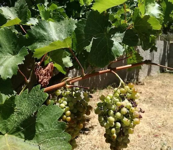 Апартаменты Locanda *